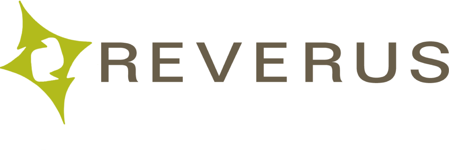 Peter Roderick Reverus How To Outsource IT Services | Reverus